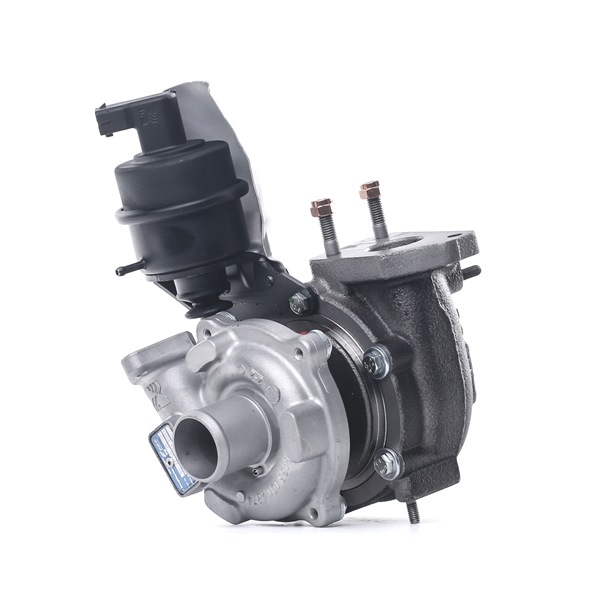 RIDEX REMAN 2234C0269R Osłona termiczna tłumika 1.3 JTD Multijet (323AXB1A) 86 KM 199 A3.000