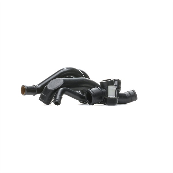 RIDEX 3886V0087 Ventil, vevhusventilation Audi A4 8h 1.8 T quattro 163 hk