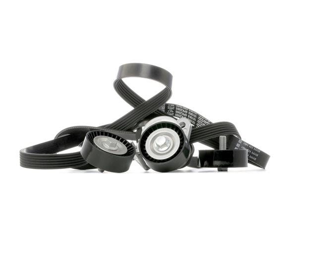 542R0741 Kit de courroie d'accessoire RIDEX Mitsubishi prix