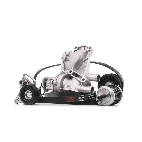 RIDEX 4172P0080 Keilrippenriemensatz Passat 3b2 1.9 TDI Syncro/4motion 110 PS AVG