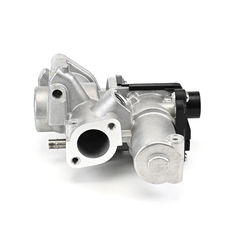 DELPHI EG10509-12B1 Válvula egr VW Touareg 1 3.0 V6 TDI 225 cv BKS