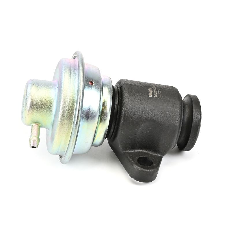 DELPHI EG10539-12B1 EGR valve Renault Scenic 1 1.9 dTi 98 hp F9Q 734