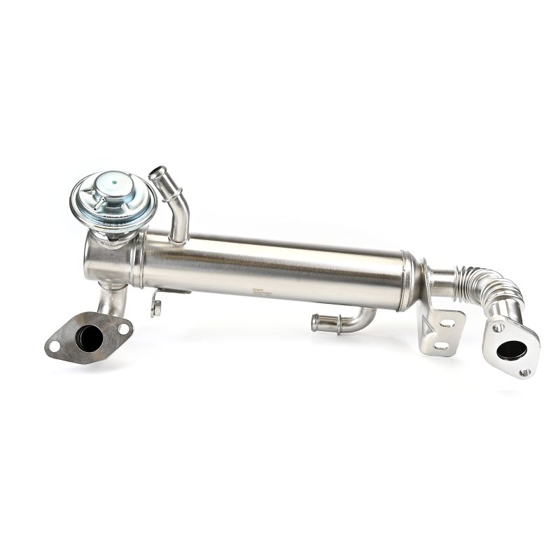 DELPHI EG10582-12B1 Válvula egr Iveco Daily 4 2.3 29L14 C, 29L14 C/P, 29L14 V, 29L14 V/P 136 cv F1AE0481H