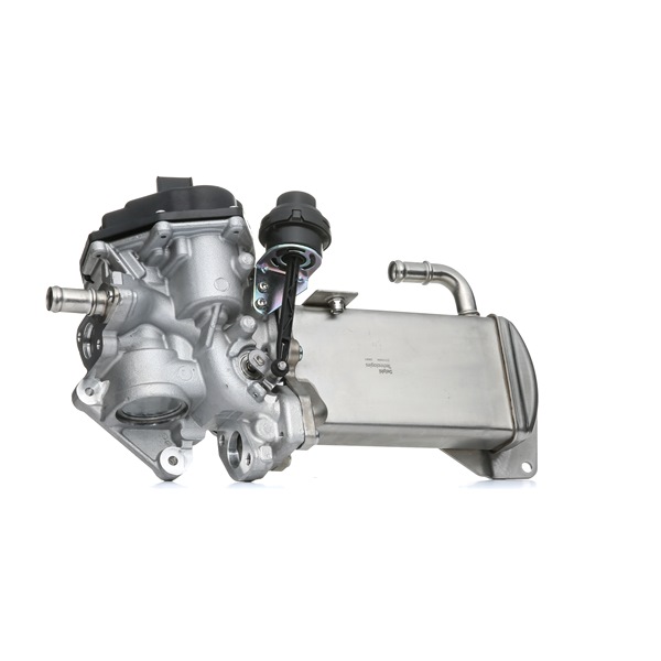 DELPHI EG10584-12B1 Valvola EGR Audi A4 B8 Avant 2.0 TDI 143 CV CMFA