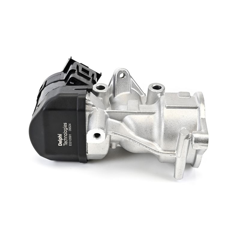 DELPHI EG10591-12B1 Mellomlyddemper TDCi 4x4 163 hk TXDA
