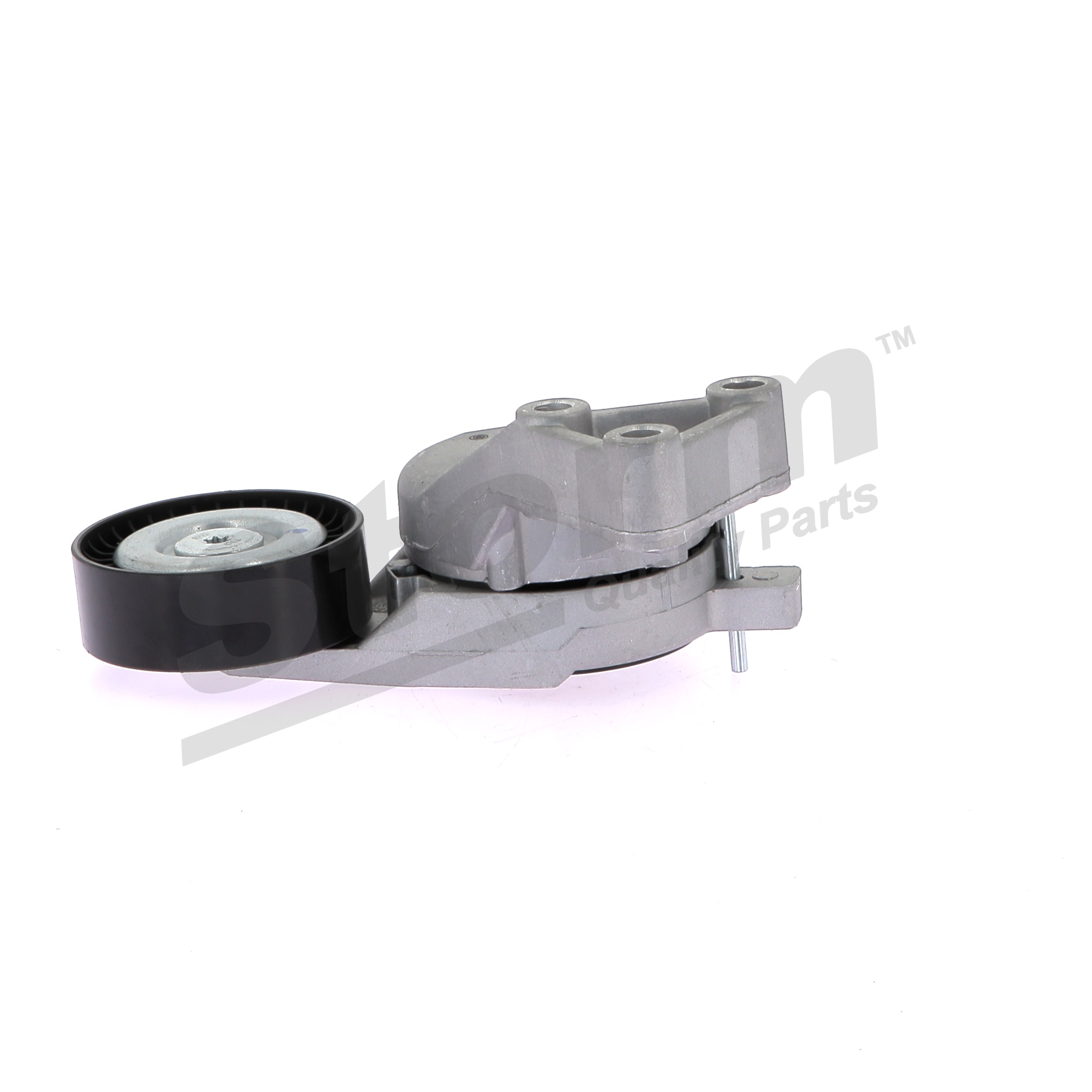STORM QUALITY PARTS F4317 Tensor de correa Passat B6 Variant 2.0 FSI 150 cv BLR