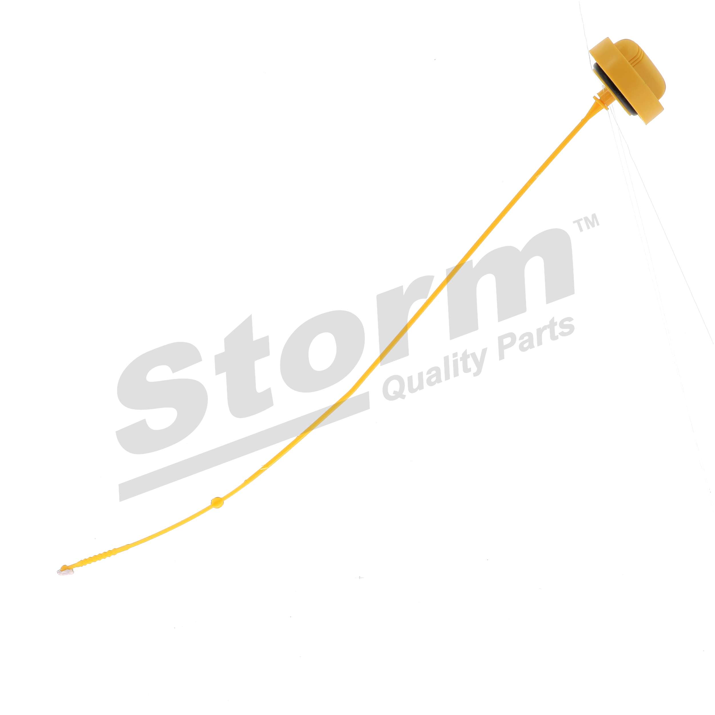 STORM QUALITY PARTS F9866 Astina olio motore Renault Modus / Grand Modus 1.6 112 CV K4M 801