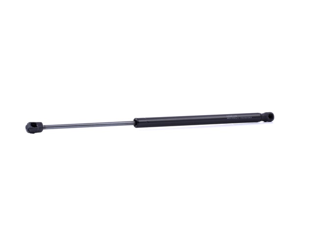 MINI RIDEX Pistoni portellone posteriore 219G1055