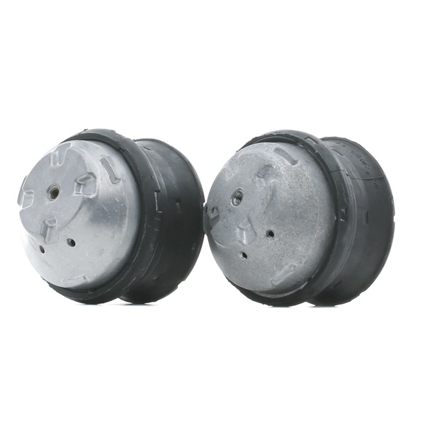 RIDEX 247E0798 Motorlager MERCEDES-BENZ E-Klasse Pritsche / Fahrgestell (VF211) E 270 CDI (211.616) 163 PS OM 647.961