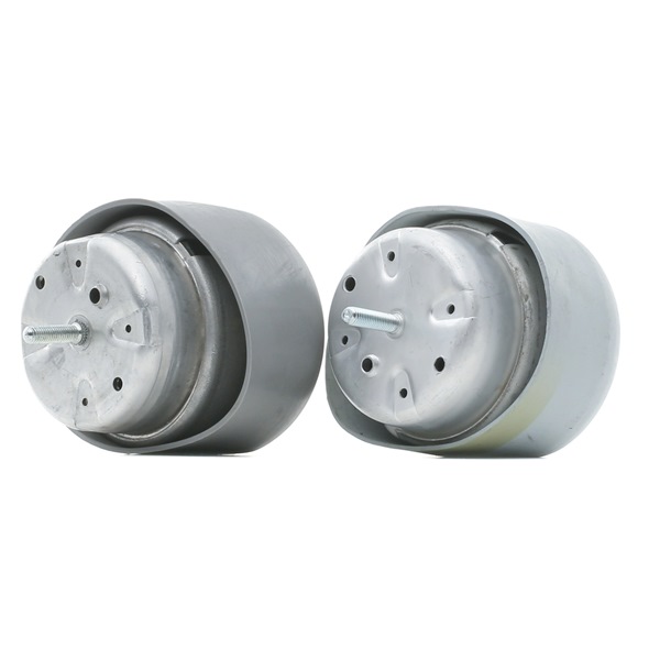 RIDEX 247E0800 Motorsteun Passat 3B6 1.9 TDI 4motion 130 Pk AVF