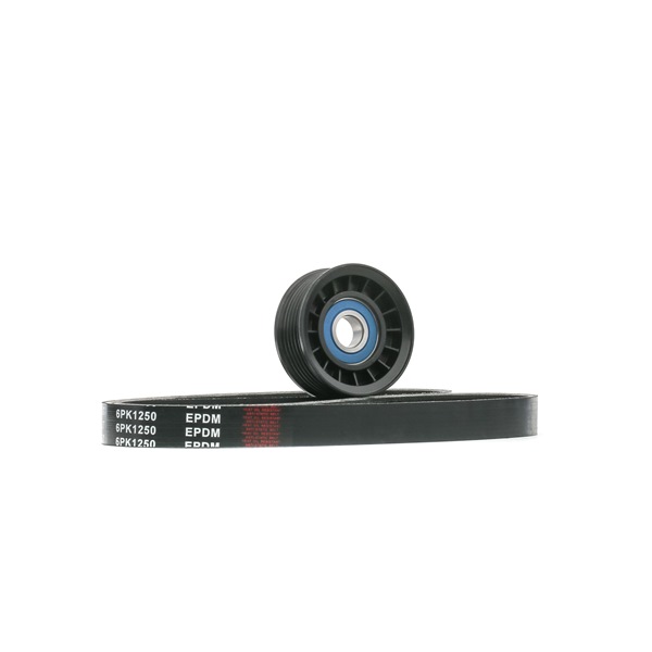 542R0798 RIDEX Keilrippenriemensatz Preis