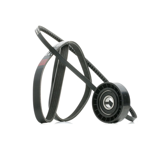 542R0867 RIDEX Jeu de courroies trapézoïdales à nervures pas chères
