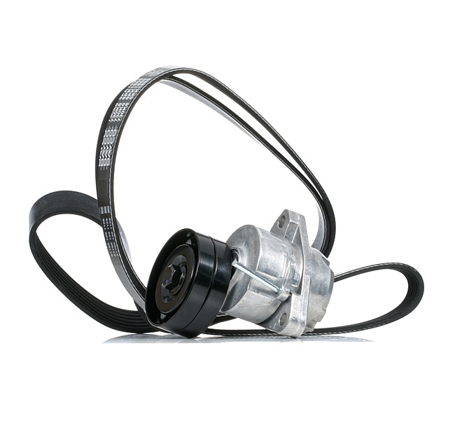 RIDEX 542R0933 Keilrippenriemensatz VAUXHALL Frontera Mk2 (B) SUV (U99) 2.2 i 136PS 2003