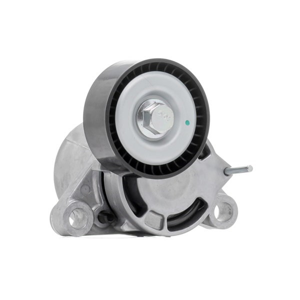 RIDEX 310T0555 Rullo tendicinghia BMW F34 320d 2.0 190 CV B47 D20 A