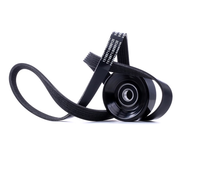 Comprar barato 542R0974 Kit de correa poly V de RIDEX