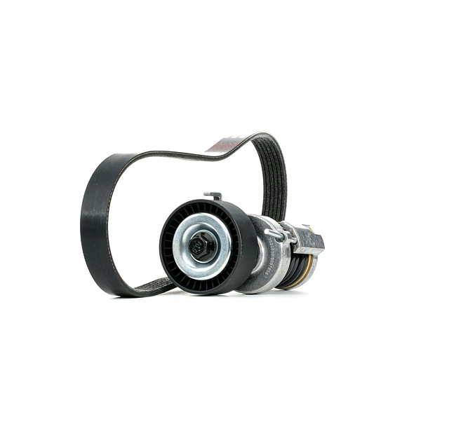 SKODA RIDEX Kit de correias trapezoidais estriadas 542R0992