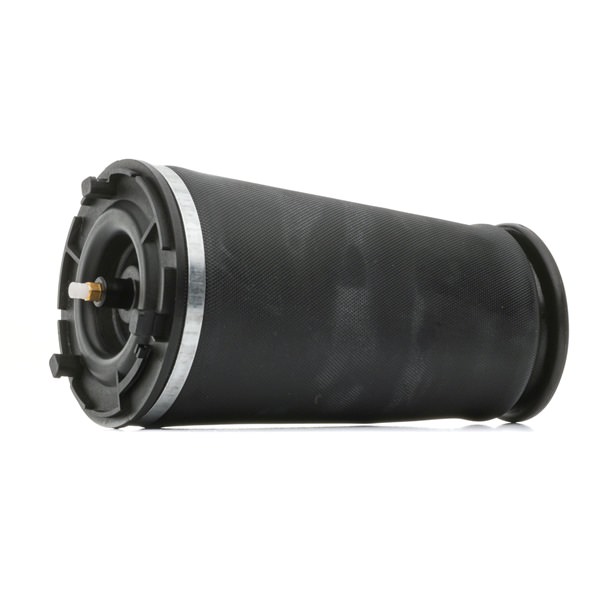 RIDEX Luftfederbalg hinten 15089028, 15125532, 15276029, 15089028, 15125532, 15276029, 15089028, 15125532, 15276029, 15089028, 15125532, 15276029, 15089028, 15125532, 15276029, 15089028, 15125532, 15276029 bestellen Sie online bei Motordoctor.at
