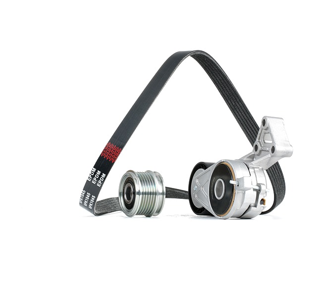 RIDEX 542R1030 Cinghia servizi Audi A3 8P Sportback 1.6 102 CV CCSA