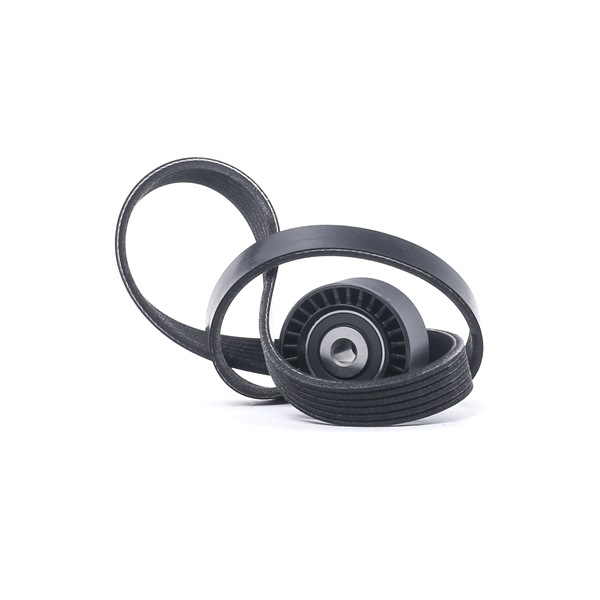 Buy cheap 542R1054 Serpentine belt kit from RIDEX 1611278880, 1611422980, 1623831780, 1611278880, 1611422980, 1623831780