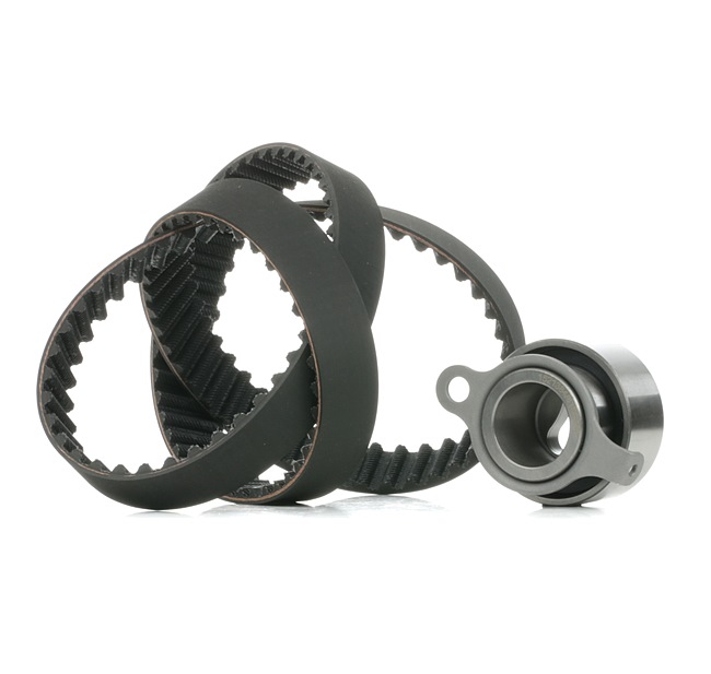 ROVER RIDEX Kit de distribuição 307T0456