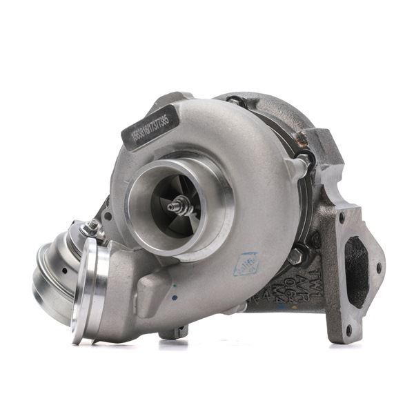 RIDEX 2234C10830 Uitlaat 3.0 V6 CRD 211 Pk EXL