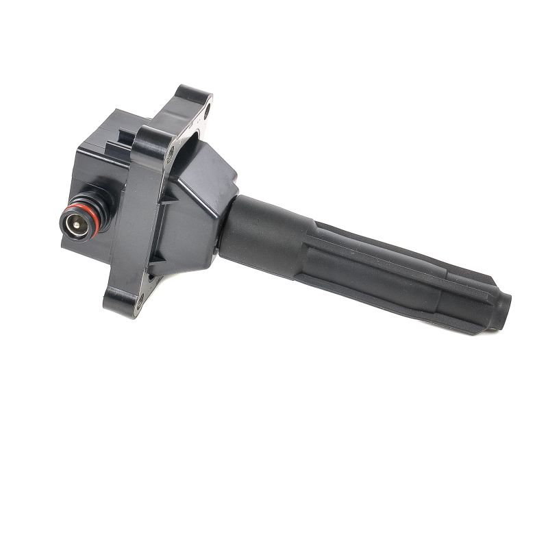 VW DELPHI Bobines CE20038-12B1