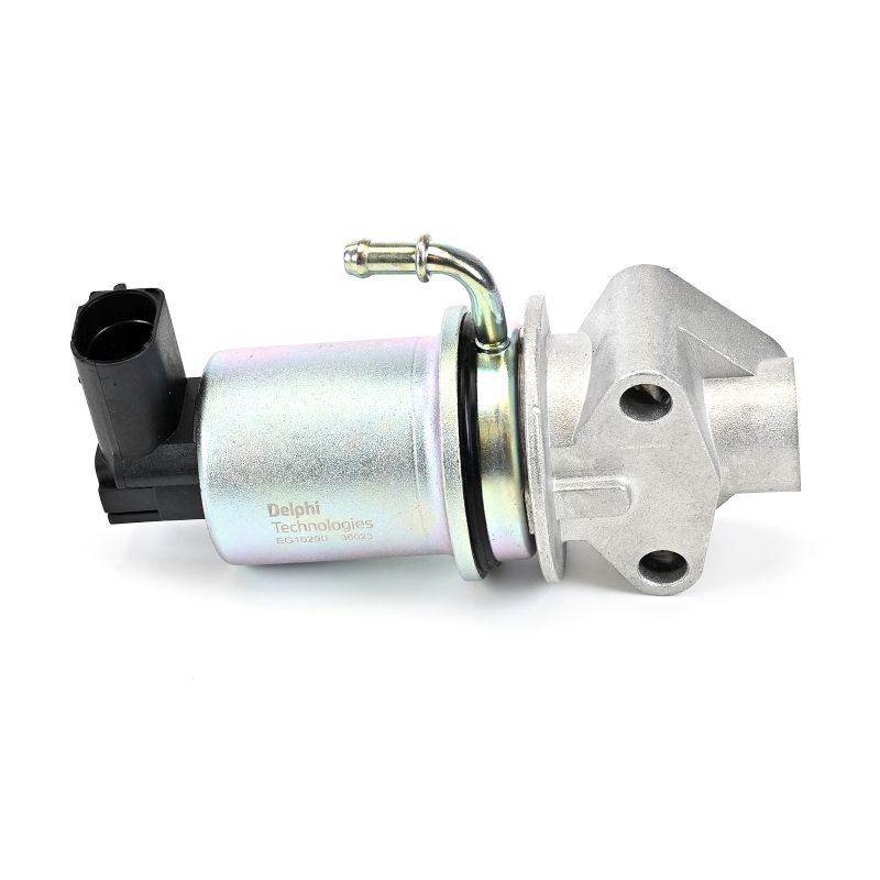DELPHI EG10290-12B1 Válvula egr VW Caddy II Carrinha 1.6 75 cv 1F