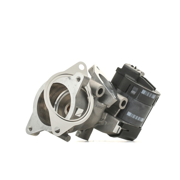 DELPHI EG10396-12B1 Asennussarja katalysaattori 2.0 D4 131 hv D 4204 T2
