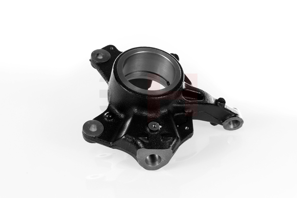 GH GH-293972V Fusée Scénic 3 1.5 dCi (JZ02, JZ0R) 95CV 2014