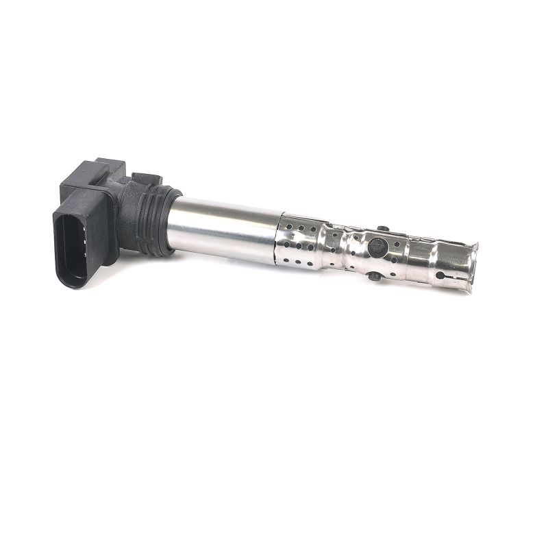 VW DELPHI Bobine GN10195-12B1