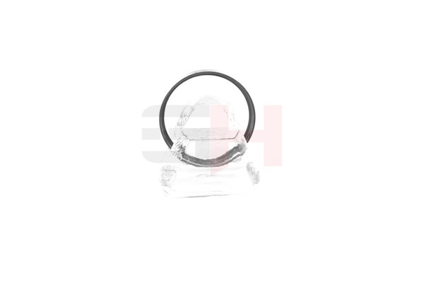 GH GH-493763 Δακτυλιος abs Citroen C6 Sedan 2.2 HDi 163 PS 4HP (DW12BTED4)