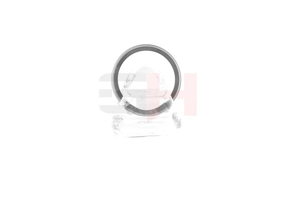 GH GH-493910 Bague ABS Renault Espace 4 2.0 dCi (JK03, JK04, JK1C, JK1G, JK1J, JK1K) 173 CH