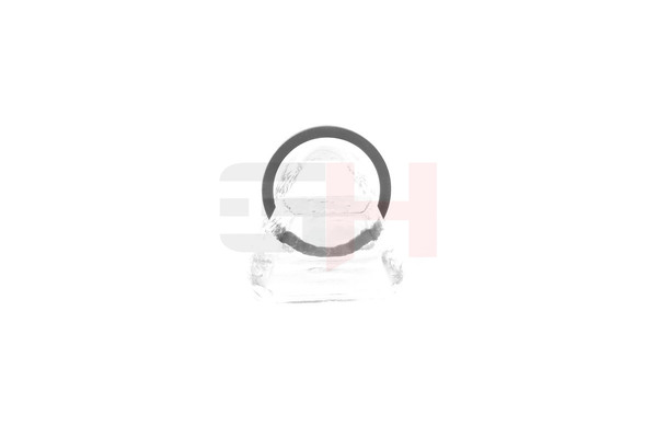 GH GH-493985 ABS ring Citroen Berlingo MF 1.4 i (MFKFX, MFKFW, GJKFWB, GJKFWC, GFKFWC) 75 hk KFW (TU3JP)