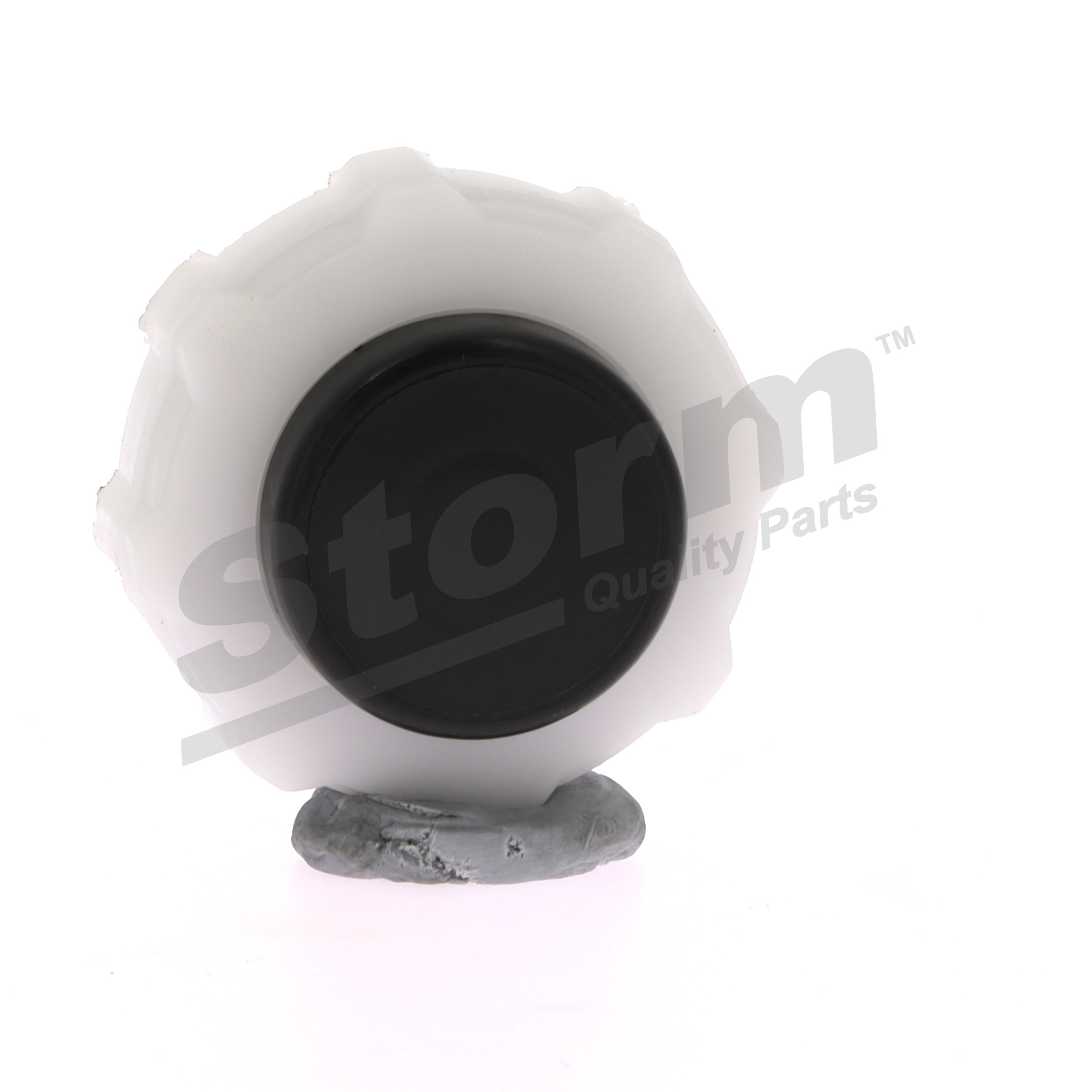 STORM QUALITY PARTS TB210 Verschlußdeckel Kühlmittelbehälter Renault Megane Scenic 2.0 i (JA02, JA0G) 109 PS F3R 796