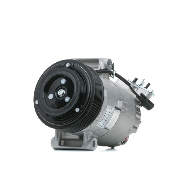 TSP0155928 DELPHI Aircopomp prijs