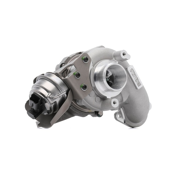 RIDEX 2234C10833 Embouts d'échappement 1.6 BlueHDi 120 120CV 2015