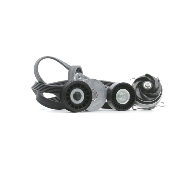 rendelés olcsó 4172P0088 Vízszivattyú + bordásszíj készlet ől RIDEX 0039933196, 0039938596, 0079978492