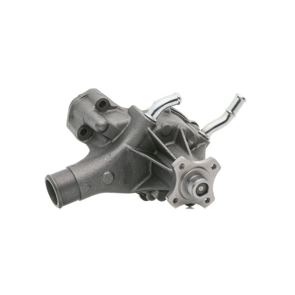 RIDEX 1260W0594 Paisuntasäiliö 5.7 V8 258 hv L31