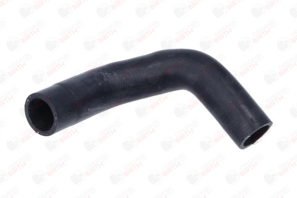 BIRTH 55417 Radiateurslang RENAULT 12 Station Wagon 1.3 60 Pk 810.05
