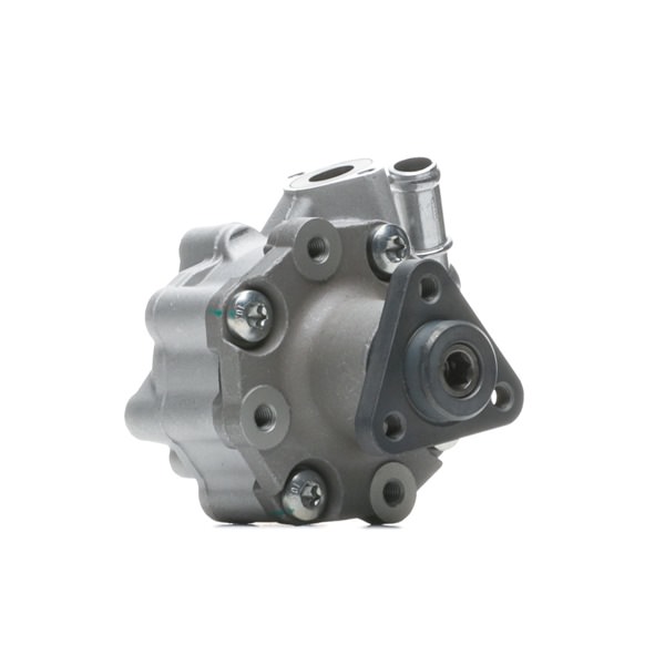 RIDEX 12H0594 Stuurbekrachtigingspomp Porsche Cayenne 92A 3.6 300 Pk MCE.YA