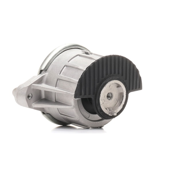 RIDEX 247E0868 Fasce elastiche CLS 300 (218.355) 252 CV M 276.952