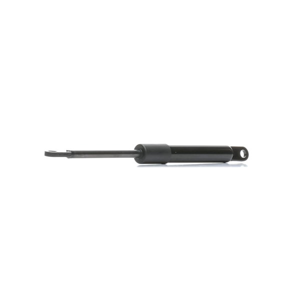 RIDEX 219G1087 Drzwi pojedyncze czesci 2.0 321 KM AM 495