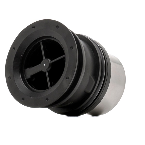 RIDEX 316T0507 Termostat kølemiddel Porsche Cayenne 92A 4.8 GTS 420 HK M 48.02