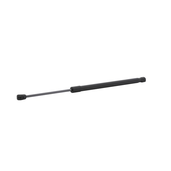 RIDEX 219G1089 Tailgate struts Citroën C4 mk2 1.4 VTi 95 hp 8FP (EP3C)