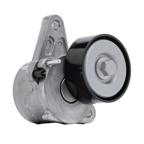 VW SKF Strammerull VKM 31130