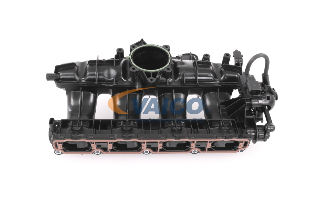 AUDI VAICO Collettore Aspirazione V10-6770