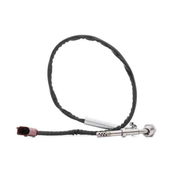 RIDEX 3938E0360 Abgastemperatursensor Passat B7 Variant 1.6 TDI 105 PS CAYC