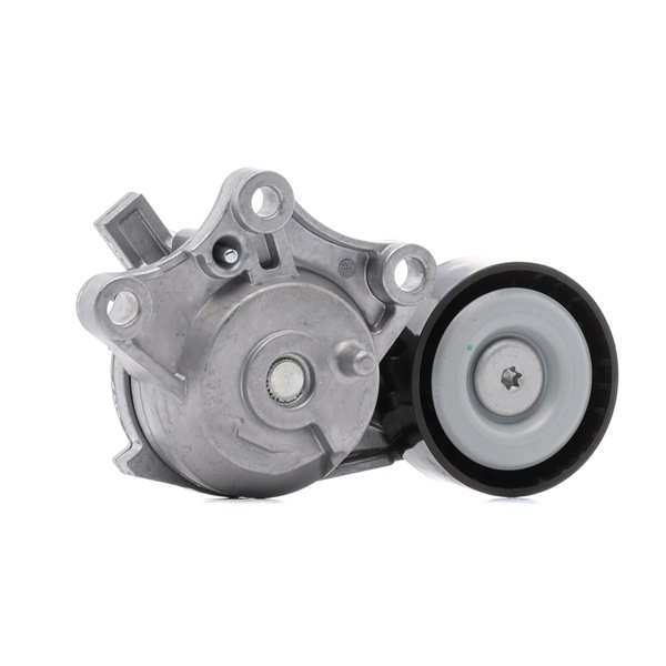 DS RIDEX Spanrol v-snaar 310T0653