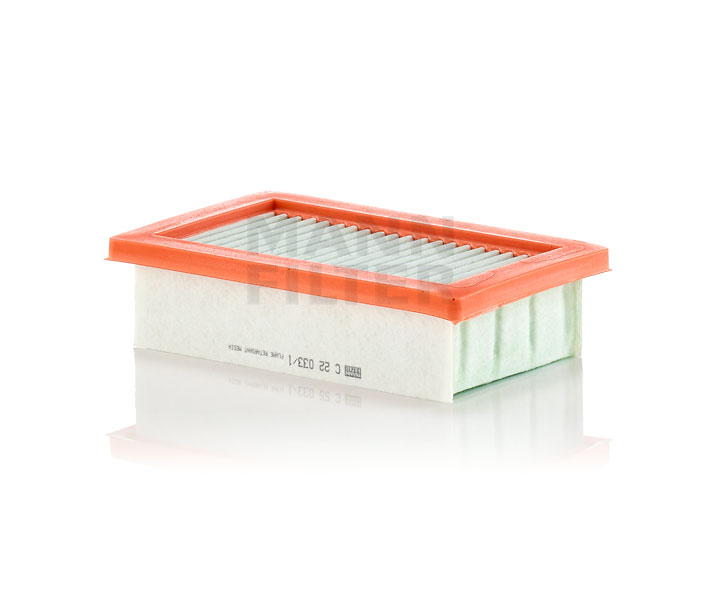 SMART MANN-FILTER Luchtfilterelement C 22 033/1