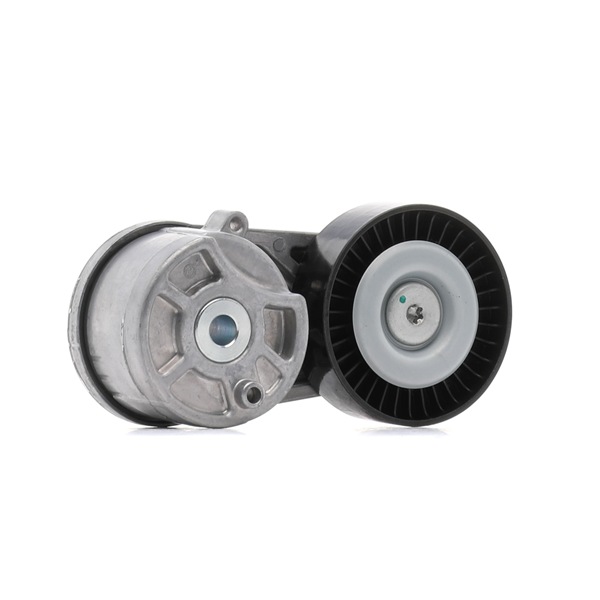 RIDEX 310T0655 Hosszbordás szíj feszítőgörgő Ford Transit V363 2.0 EcoBlue RWD 170 LE BLRA